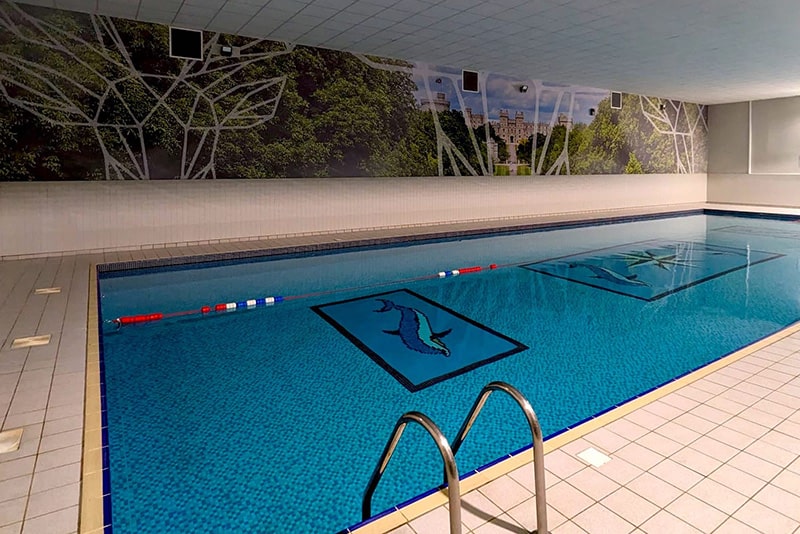 This is default alt image