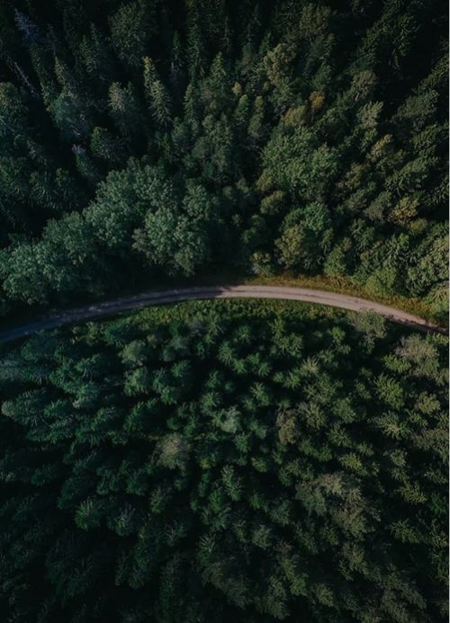 This is default alt image